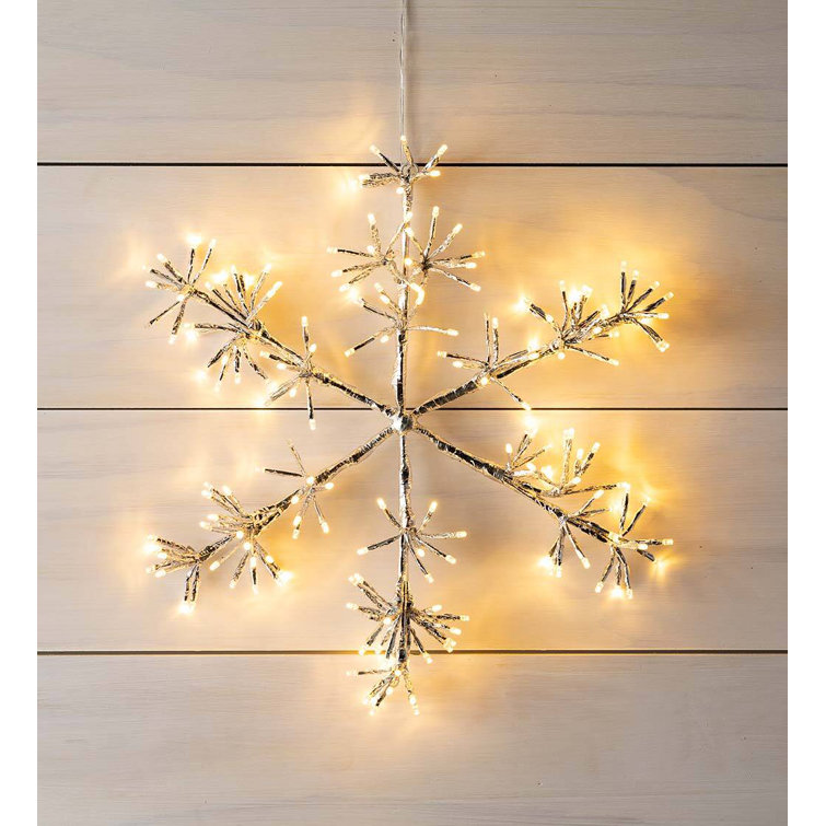 Plow & Hearth LED Net Lights Wayfair